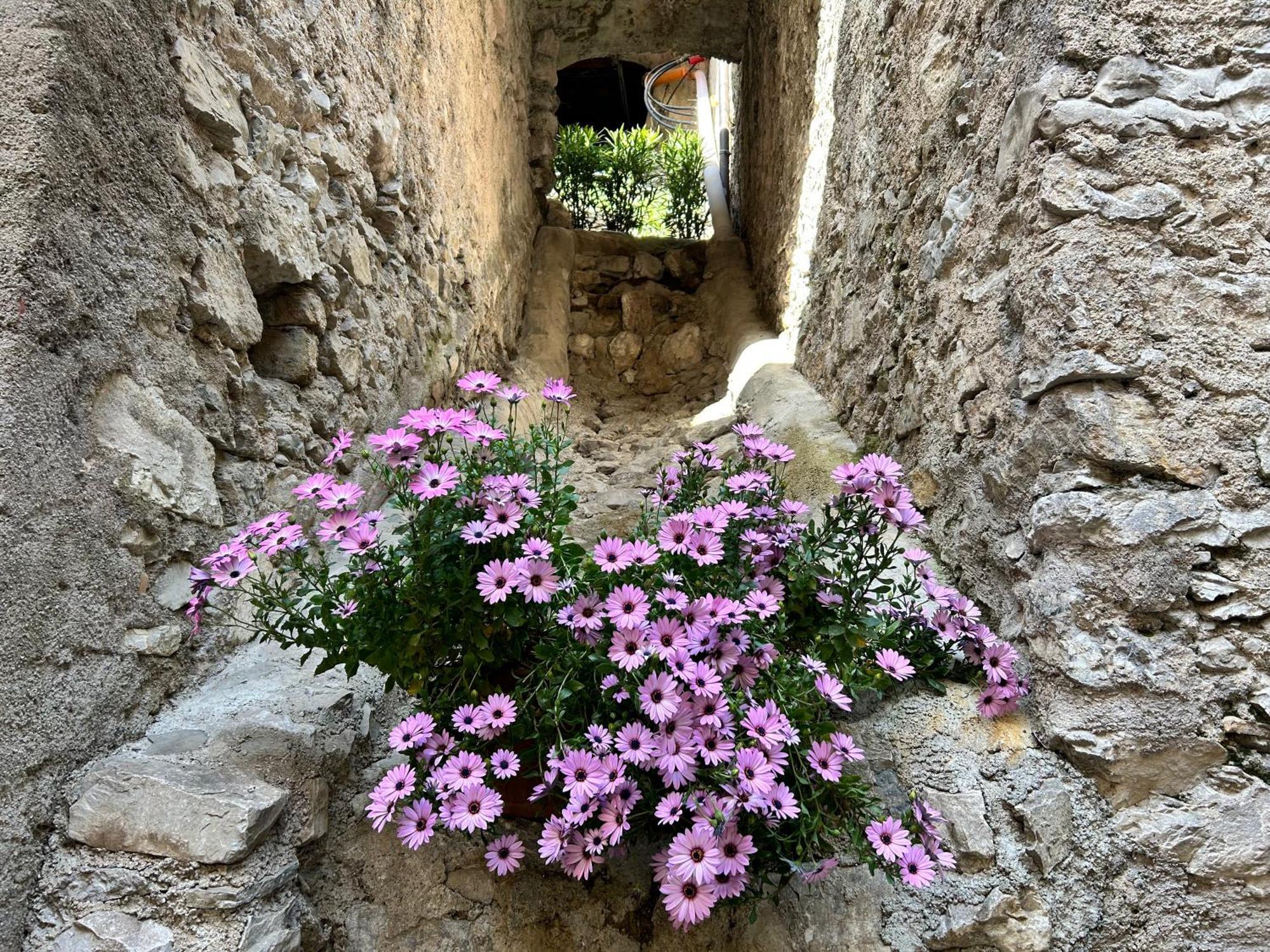 Studios Al Castello Dei Limoni Limone sul Garda Exterior foto